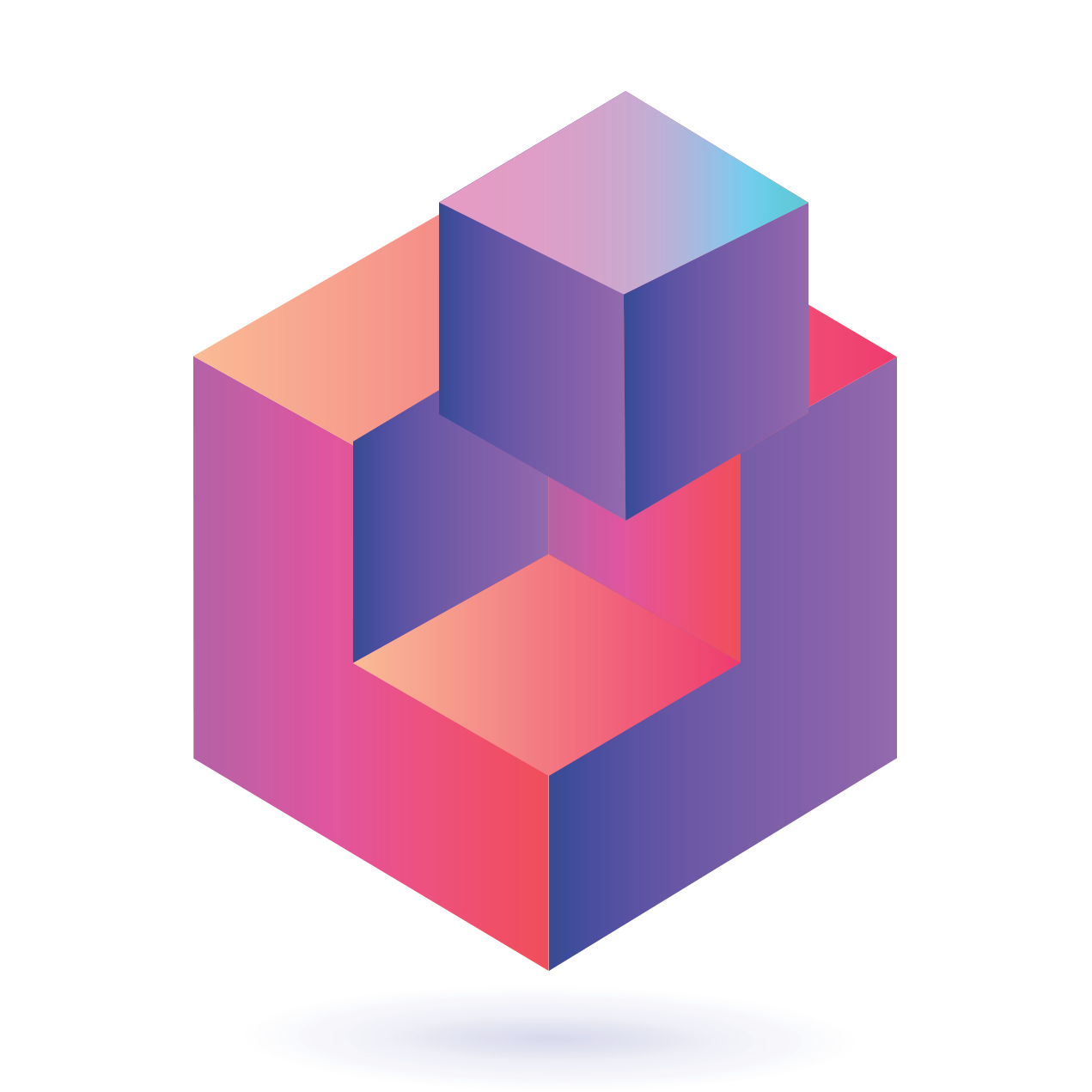 program image